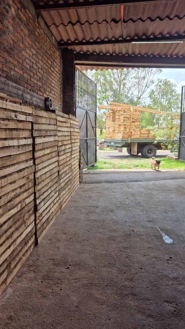 Tablas de 20, 25 y 30 cm apiladas y revisadas en Panindícuaro